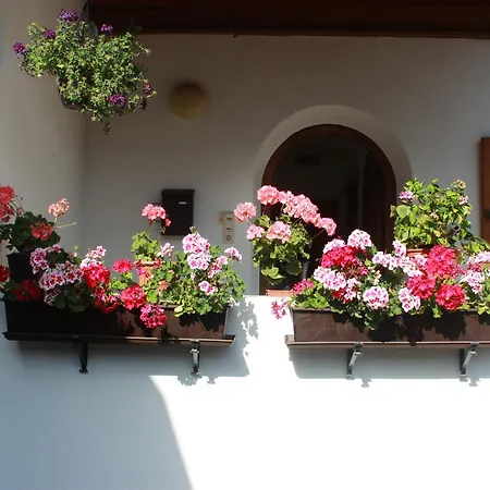 Apartment Griselda Kitzbuhel Exterior photo